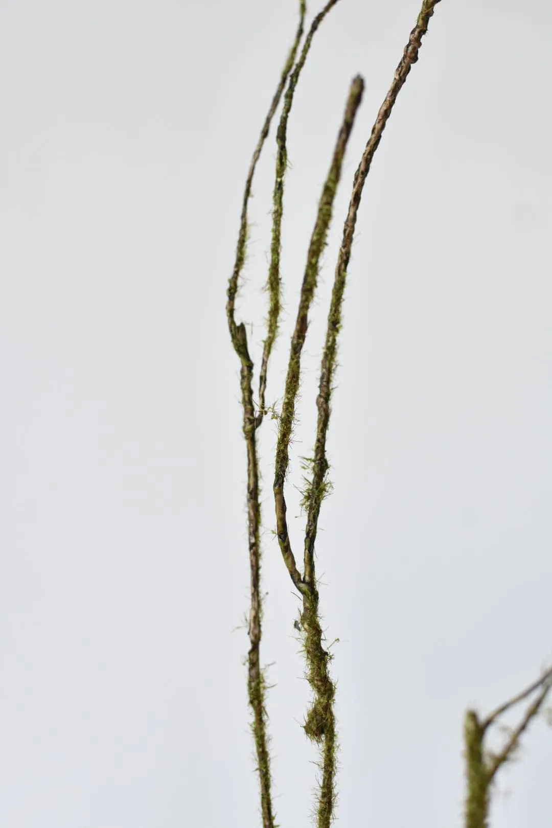 36" Faux Mossy Brown Twig Branch Stem