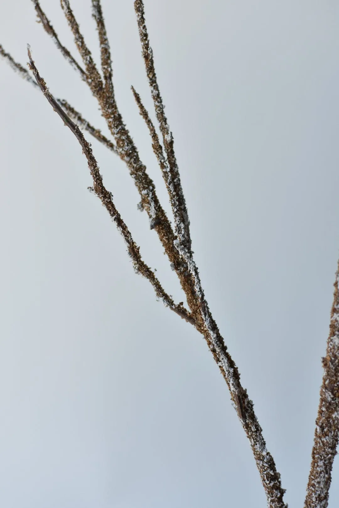 40" Faux Brown/White Twig Branch Stem