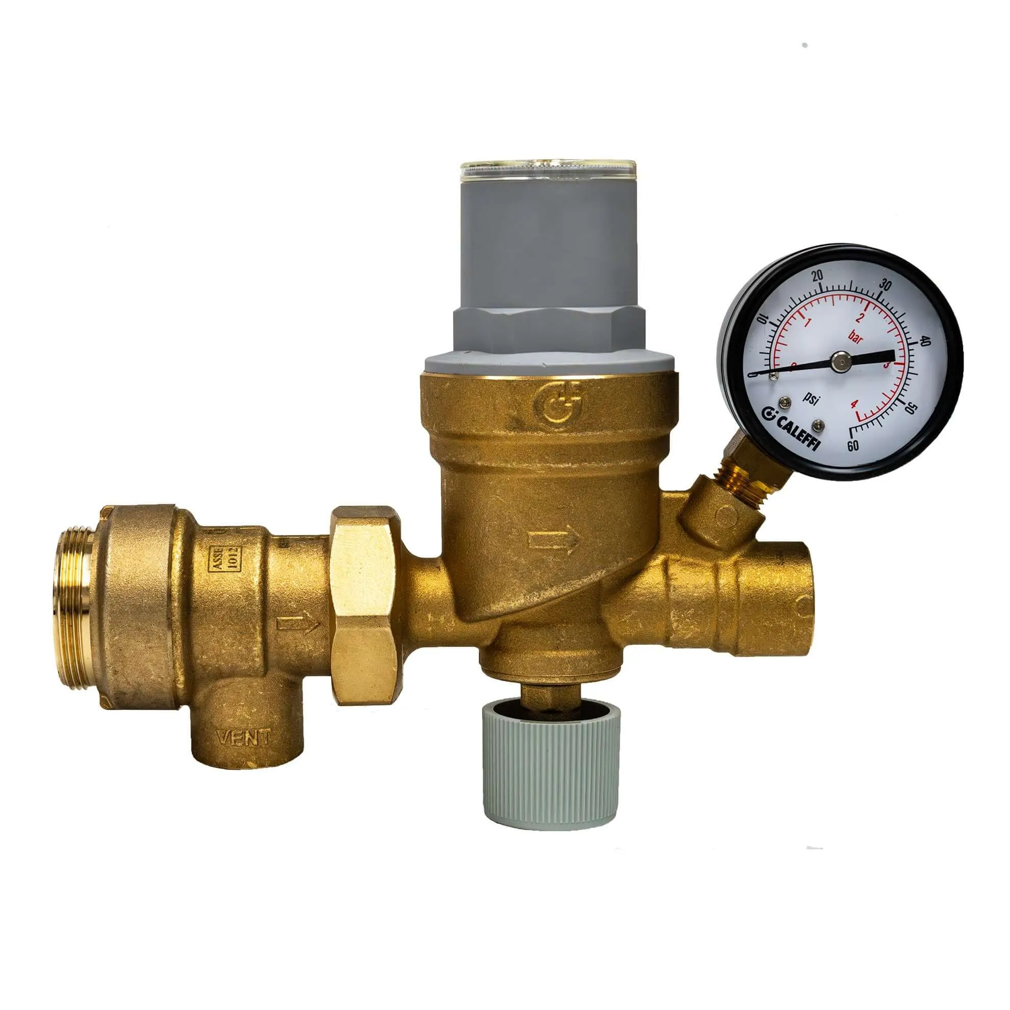 Backflow preventer and Autofill Combination with Pressure Gauge