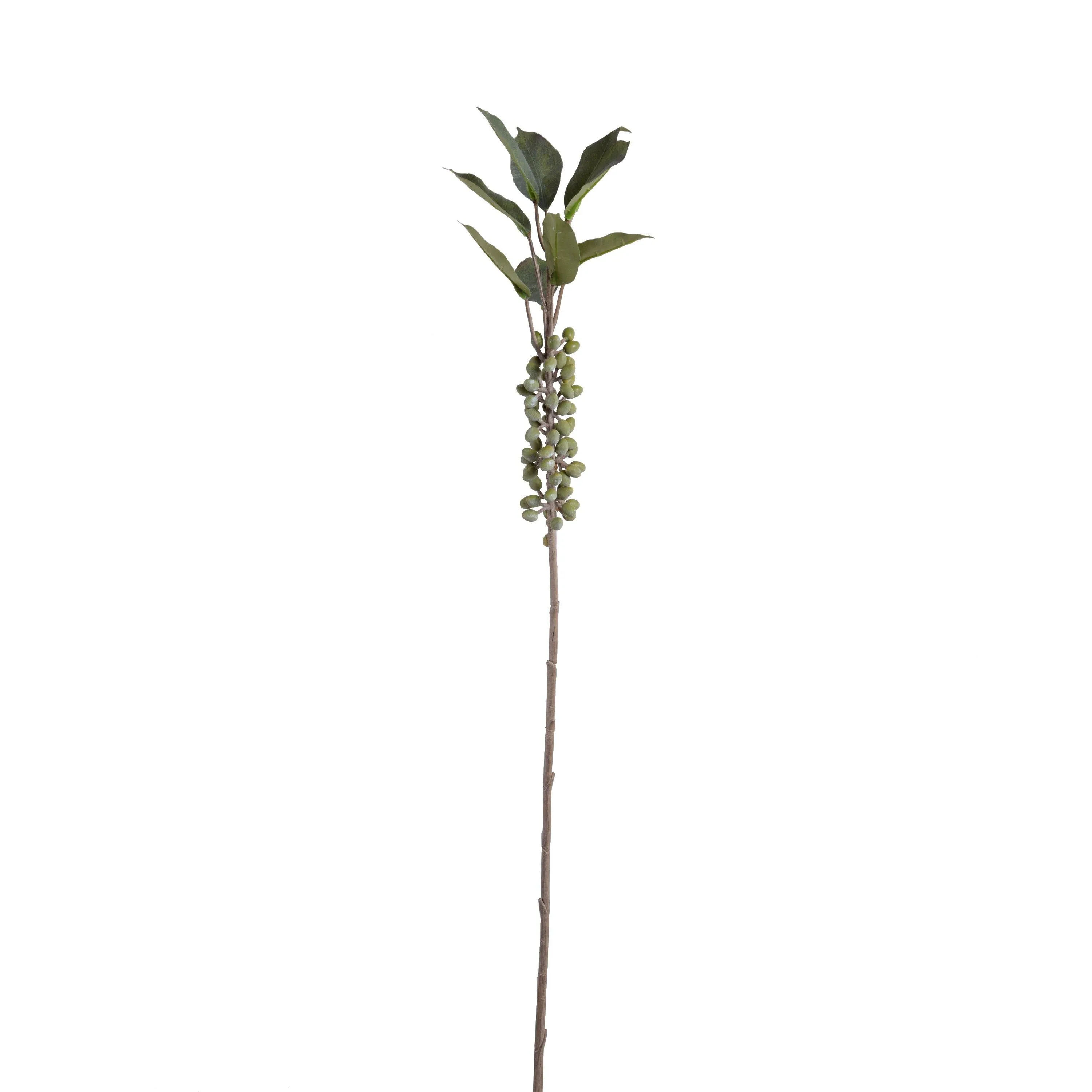 Berry Branch, 37" L - Coffee