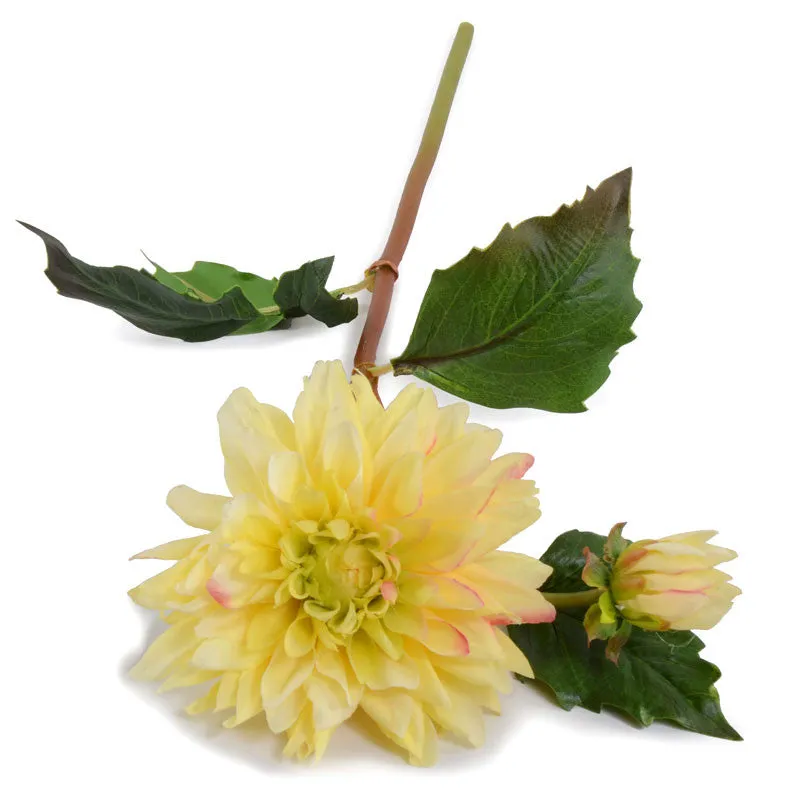 Dahlia Stem, 20" L - Yellow