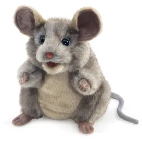 Gray Mouse