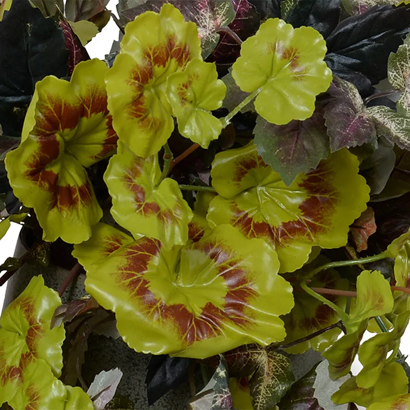 Ivy Plant in Porcelain pot