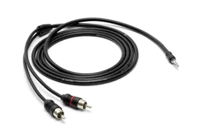 JL Audio 2-Channel 6ft Y-Cable 3.5mm Mini to 2 RCA Males