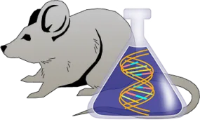 Mouse Factor IX Genetically Deficient Lung Tissue Lysate