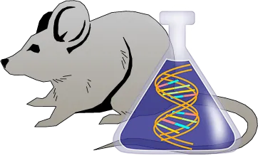 Mouse Factor XII Genetically Deficient Lung Tissue Lysate