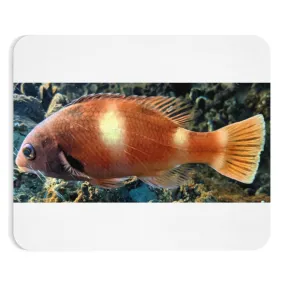 Orange Fish Mouse Pad (EU)