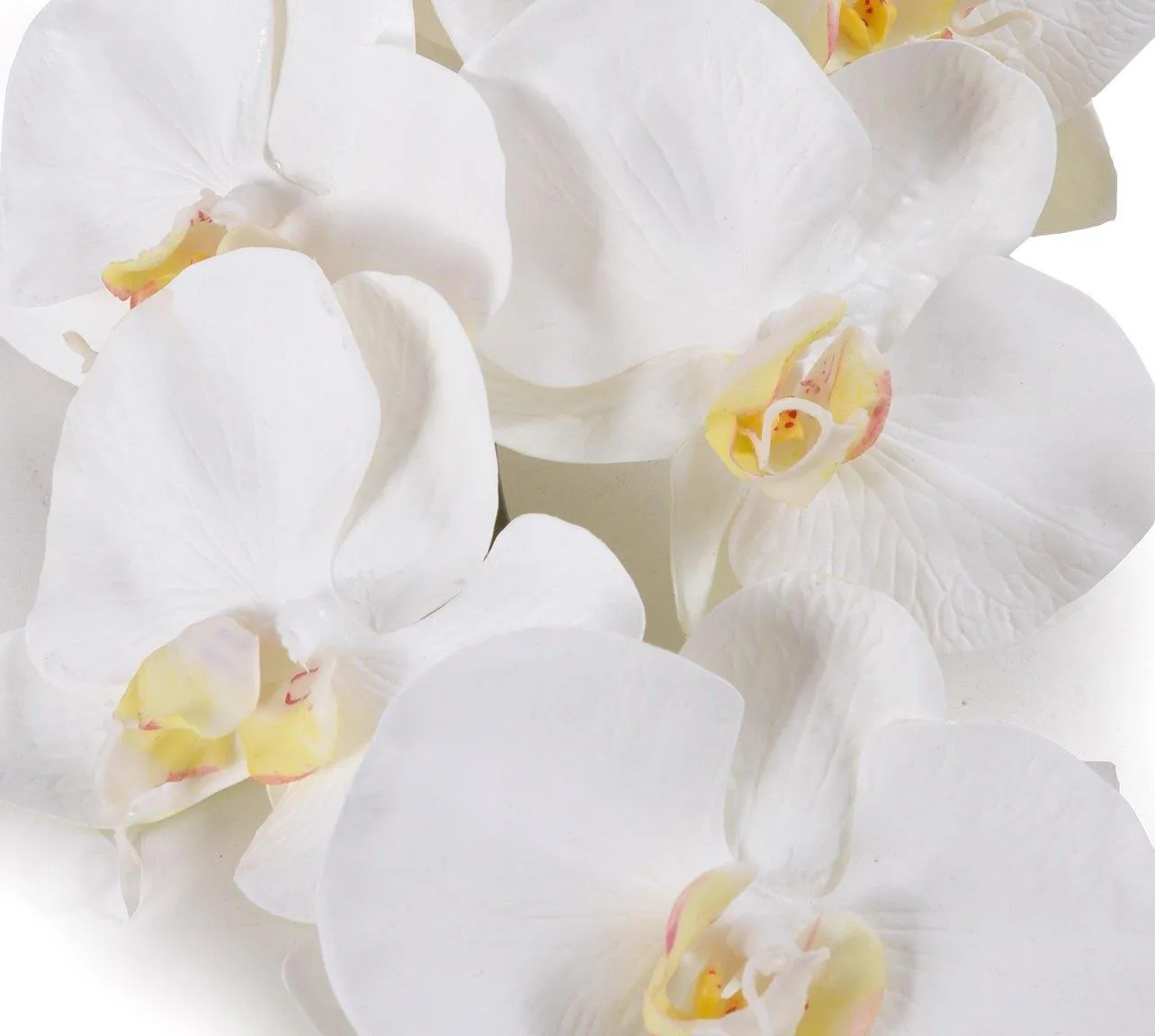 Phalaenopsis Orchid x8 Stem 38"L