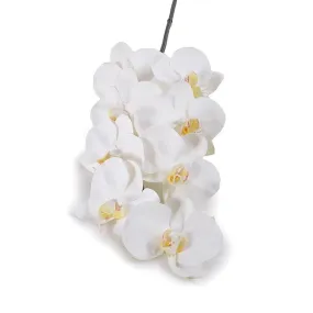 Phalaenopsis Orchid x8 Stem 38"L