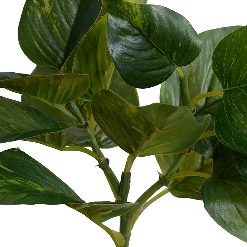 Pothos (Scindapsus) spray, 15"L