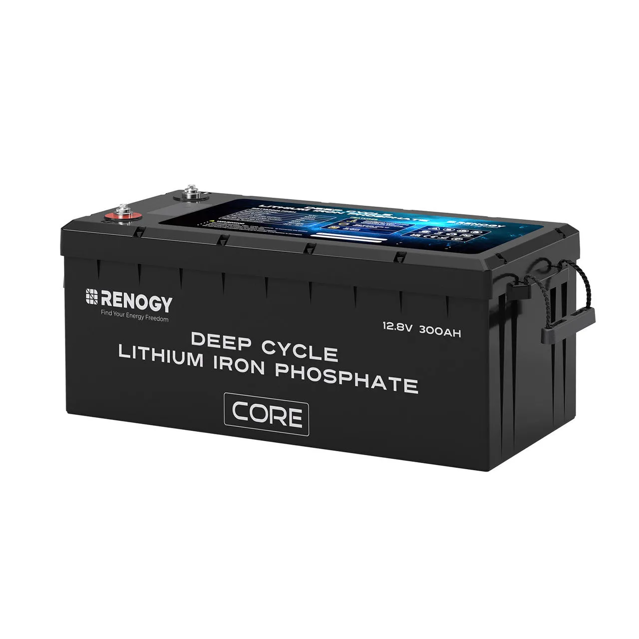 Renogy 12V 300Ah Core Series Deep Cycle Lithium Iron Phosphate Battery w/Self-Heating