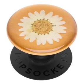 White Daisy Pressed Flower: PopSockets - Premium PopGrip